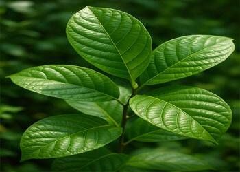 AquaSculpt Ingredient 4